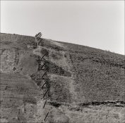 Oaks North Livermore Road Hasselblad 500CM 150 and 250 Sonnar Rokunar 2x tele-converter IlfordFP.jpg