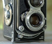 19597019251_cb045932e1_b.jpg