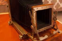 front standard.jpg