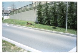 20150412_39_MP+RKR.jpg