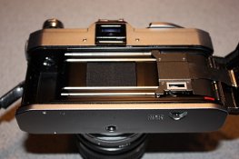 IMG_5428.jpg