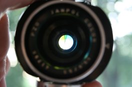 IMG_9555.JPG