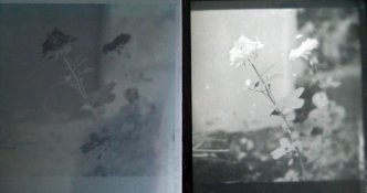 Negative.jpg