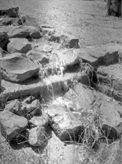 110zoom067 (1491 x 2000).jpg