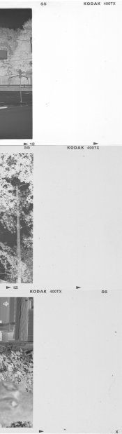 three rolls fb+f.jpg