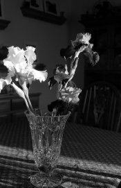 File0004-2Web.jpg