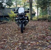 Autumn GS.jpg