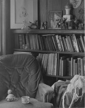 RODINAL 25 LO RES.jpg