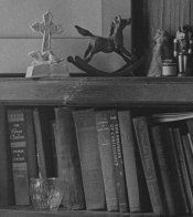 RODINAL 25 HI RES.jpg