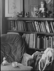 MICRODOL Expedient Lo Res.jpg