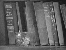 MICRODOL EXPEDIENT VERY HI RES.jpg