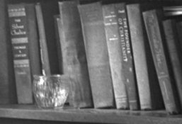 MICRODOL EXPEDIENT VERY HI RES.jpg