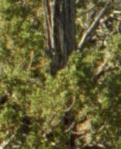 Water-Canyon-draw-detail.jpg