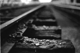 f5 hp5_1600 -8-1.jpg