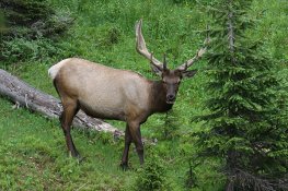 IMG_9874.JPG