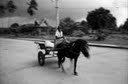 N9315 - Motionless.jpg