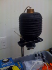 foto4.jpg