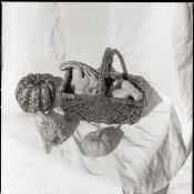 imgb727-sm.jpg