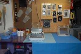 Darkroom 1.jpg