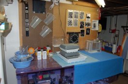 Darkroom 2.jpg