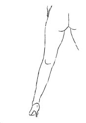 Sketch.jpg