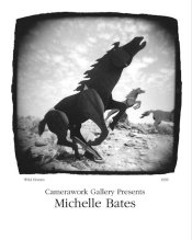 MBates-michelle_bates_webcard_Page_1.jpg