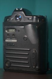 IMG_2235.jpg