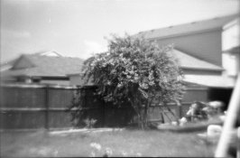 gakken024 mid lens.jpg