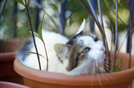 DSC_0001_1.jpg