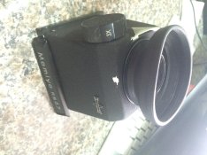 IMG_5538.jpg