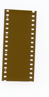 img010.jpg