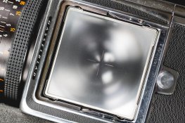 EI0C4273.jpg