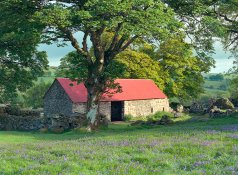 dartmoor_emsworthy_barn_11-copy.jpg