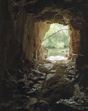 MSA -Suggest- Light @ End of Tunnel .jpg