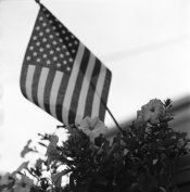 IMG_0001.jpg