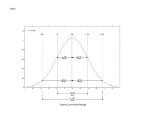 Normal Distribution Curve.jpg
