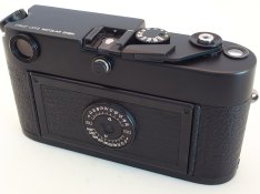 R1106677.JPG