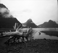 VagrantWood_MilfordSoundMay2015.png