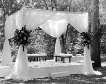 MSA-Suggest- Onto the Reception .jpg