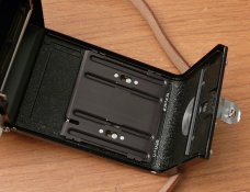 rolleiva-36.jpg