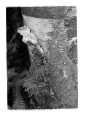 B+W_2.jpg B+W_2.jpg