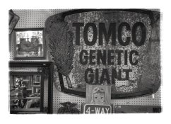 Summicron_7.jpg