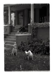 Summicron_9.jpg