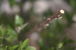 img_(3_of_4).jpg