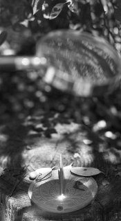 MSA -Suggest - Focus3 .jpg