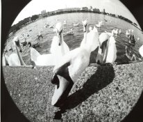 image1.JPG