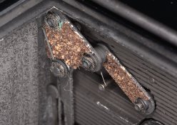 DSC_5059.jpg
