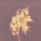 Lumenprint015.jpg Lumenprint015.jpg