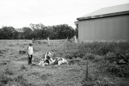 Yashica T3 example 1 crop.jpg