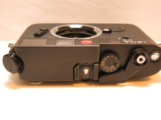 IMG_7137.JPG